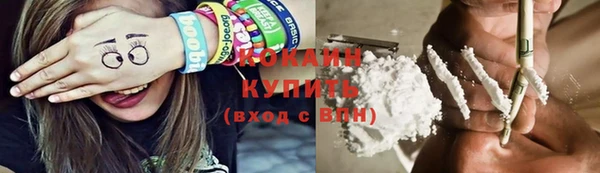 мяу мяу мука Инсар