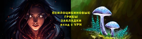 соль ск Абинск