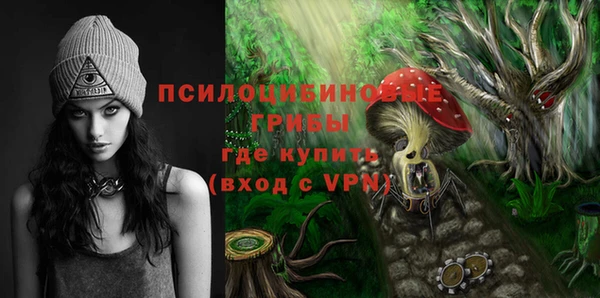 МДПВ Абаза