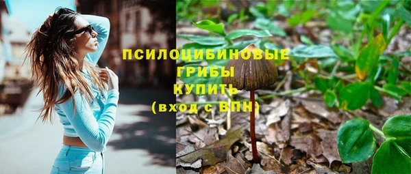 МДПВ Абаза