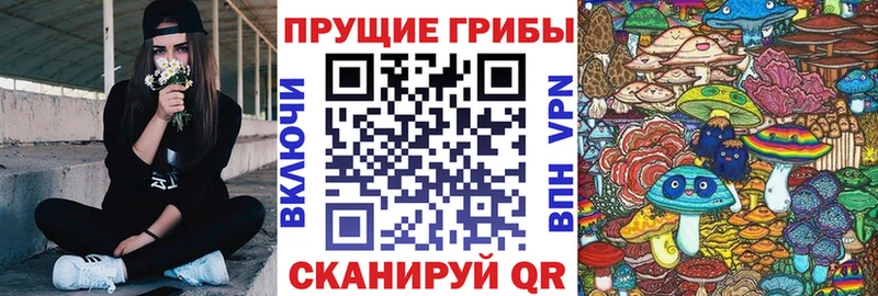 Галлюциногенные грибы Psilocybe  закладка  мега зеркало  Севастополь 