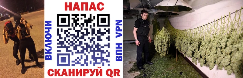 Каннабис семена  цена   Севастополь 